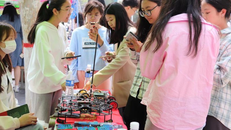 软件稳定性测试：关键步骤与注意事项